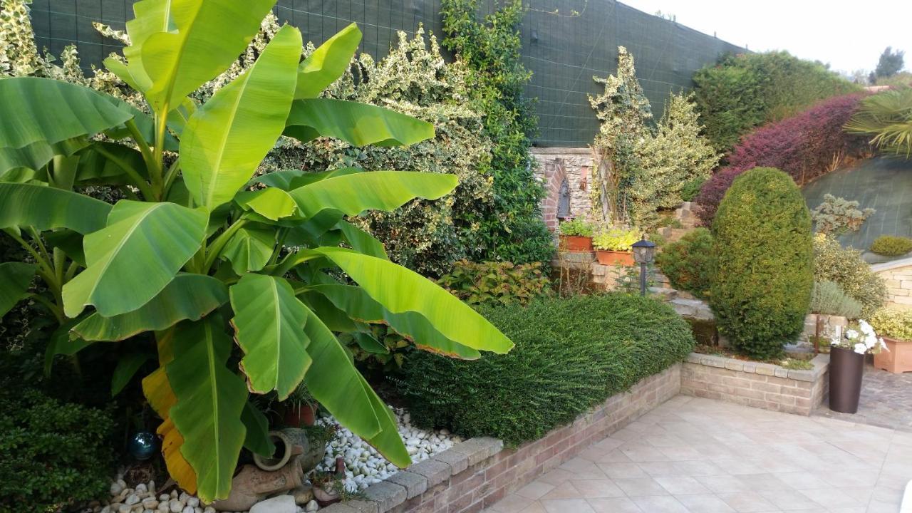 Villa Laura B&B 弗萨诺 外观 照片